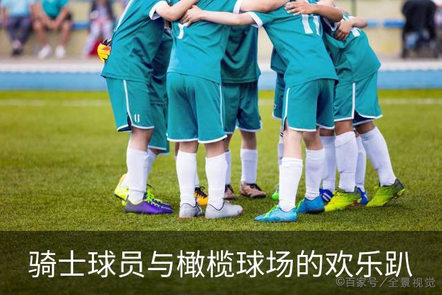 骑士球员与橄榄球场的欢乐趴